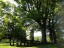 lawn_2