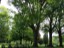 lawn_3