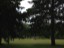 lawn_4